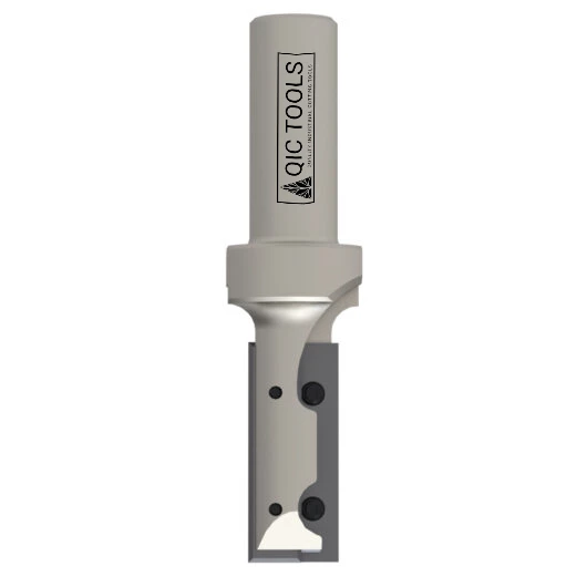 Straight Insert Router Bit with Plunge Tip